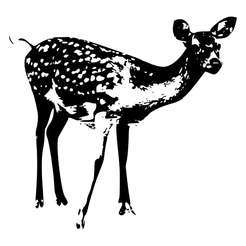 Roe deer Roe deer Roe deer