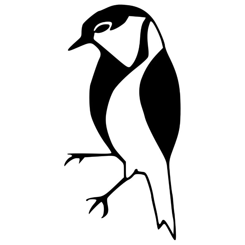 bird