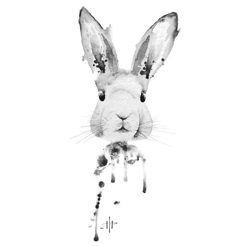 Rabbit Black White