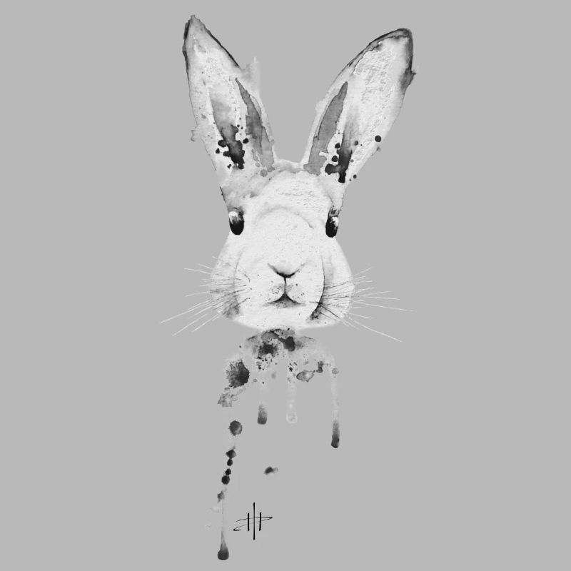 Rabbit Black White