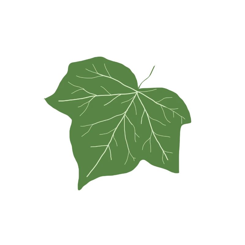Efeu