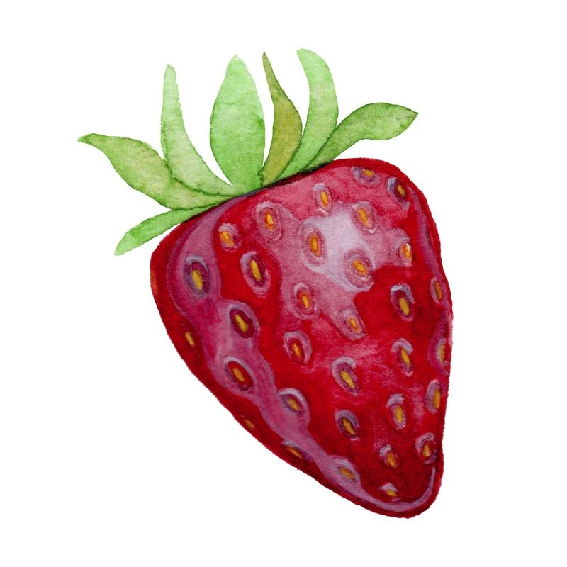 Erdbeere