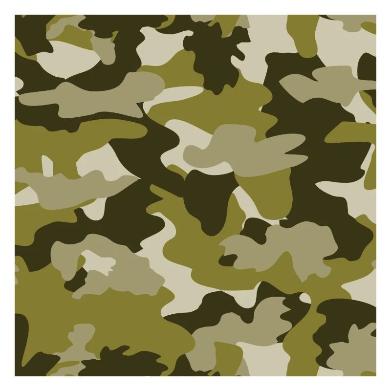 camouflage