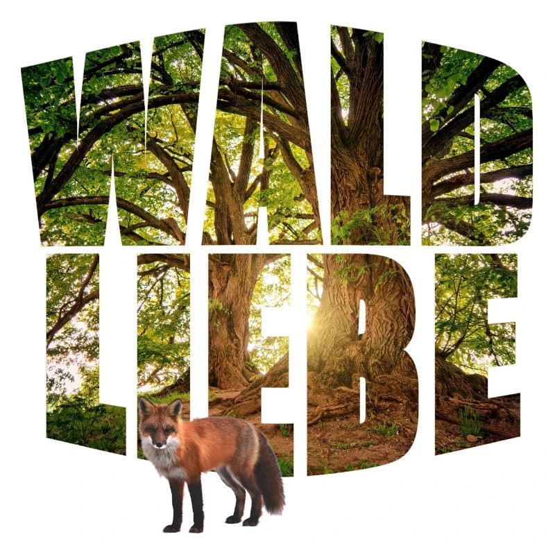 forest love with fox