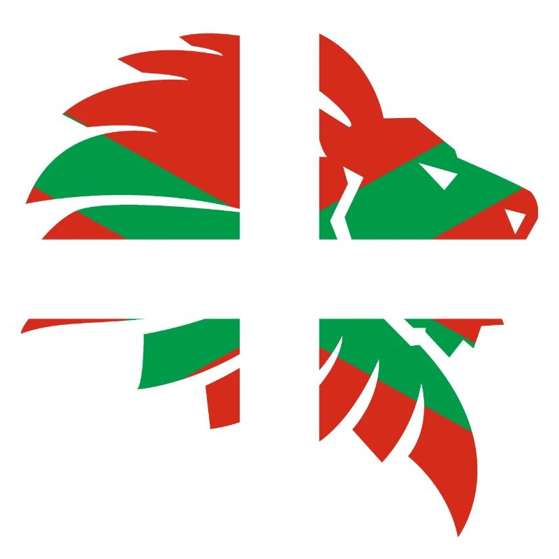 Basken Flagge Navarra Baskisch Baske Geschenk