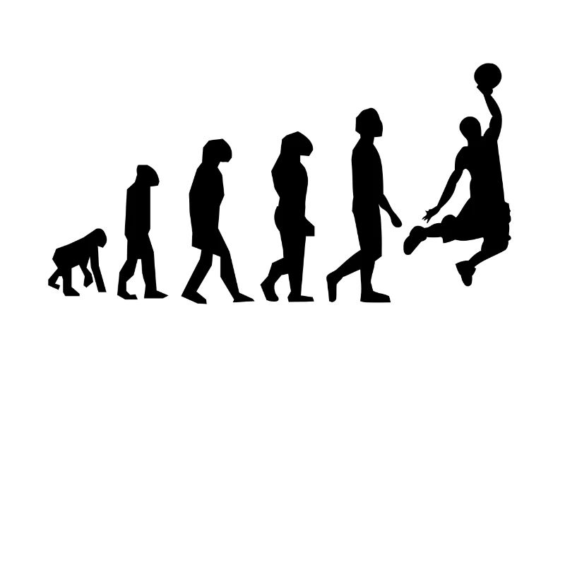 ÉVOLUTION BASKET