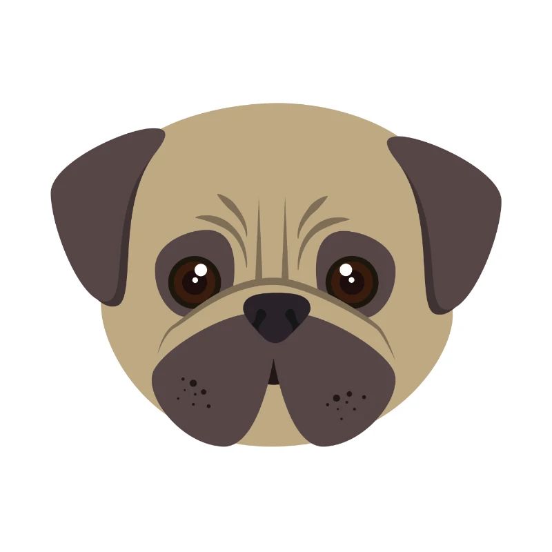 Pug