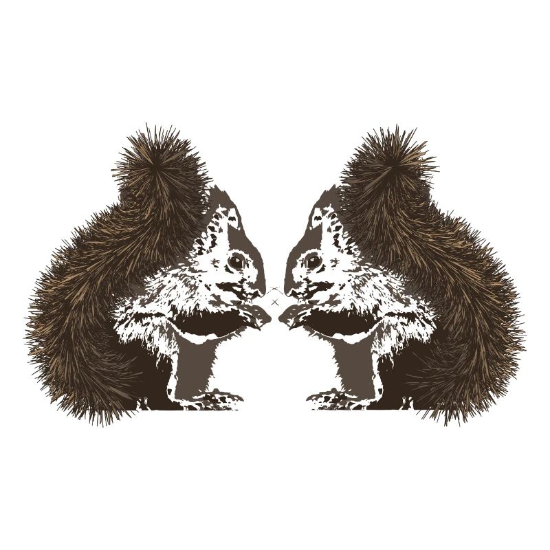 Eichhörnchen, Eichhörnchen