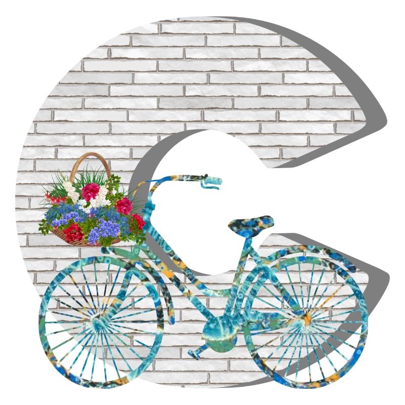 bicycle e 100 c