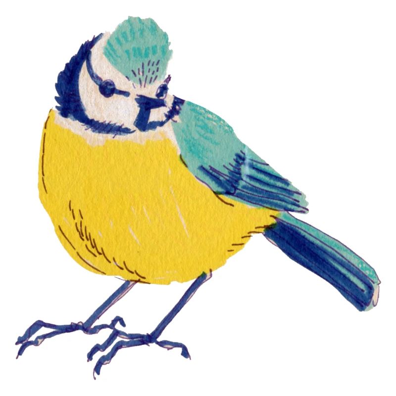 Blue