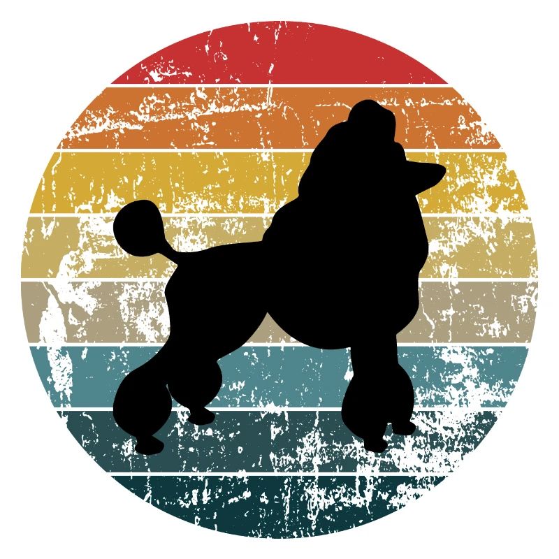 Caniche