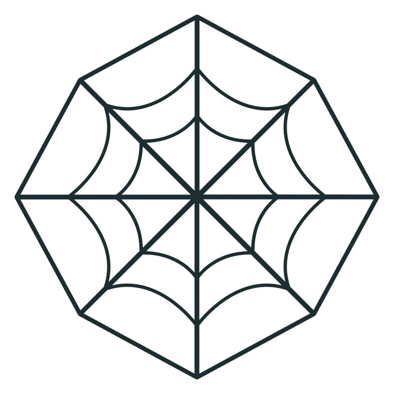 irregular spider web