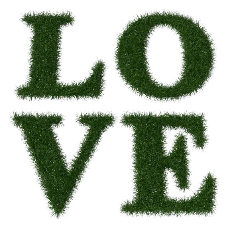 Love - Real Grass 3D