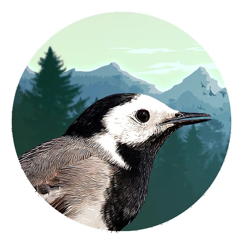 Bergeronnette Profil Emblème de la Forêt