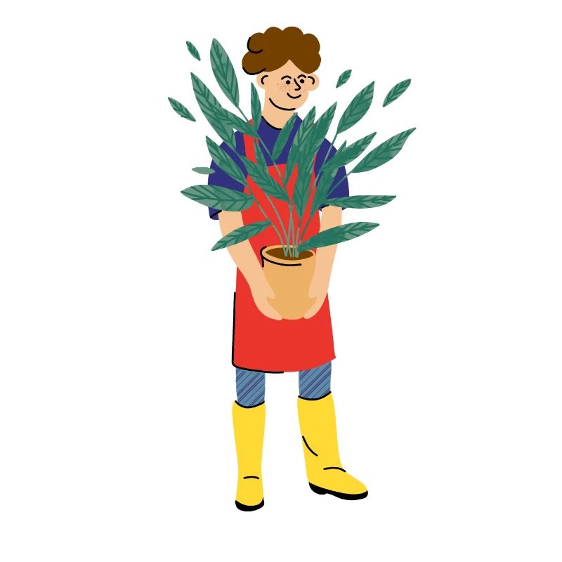 fall plants for u