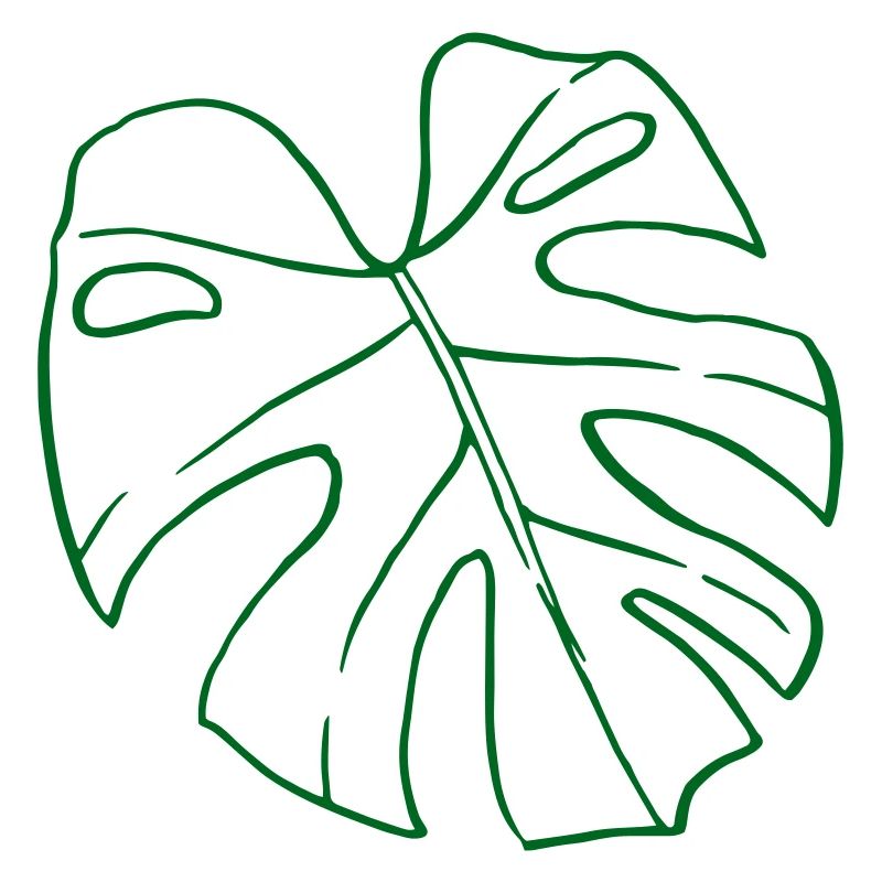 Monstera