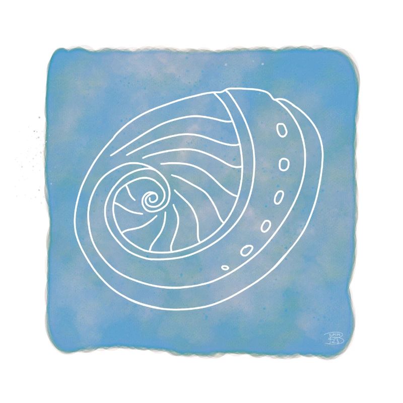 Abalone, Boho Line Art Design, Série Shells