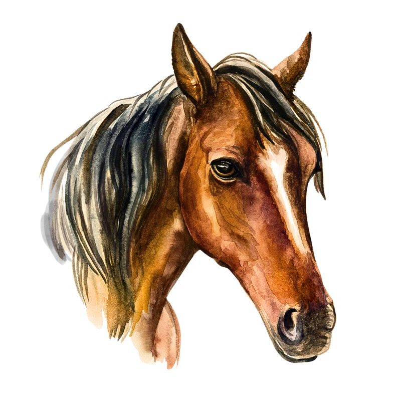 Pferd1