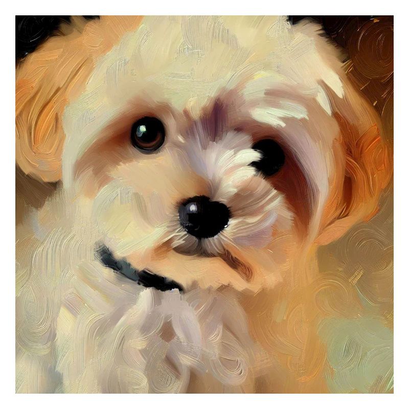 Le chien le plus mignon du monde