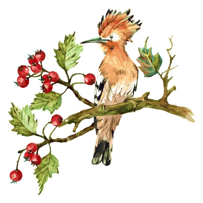Bunter Vogel