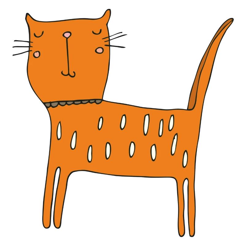 Cat Orange