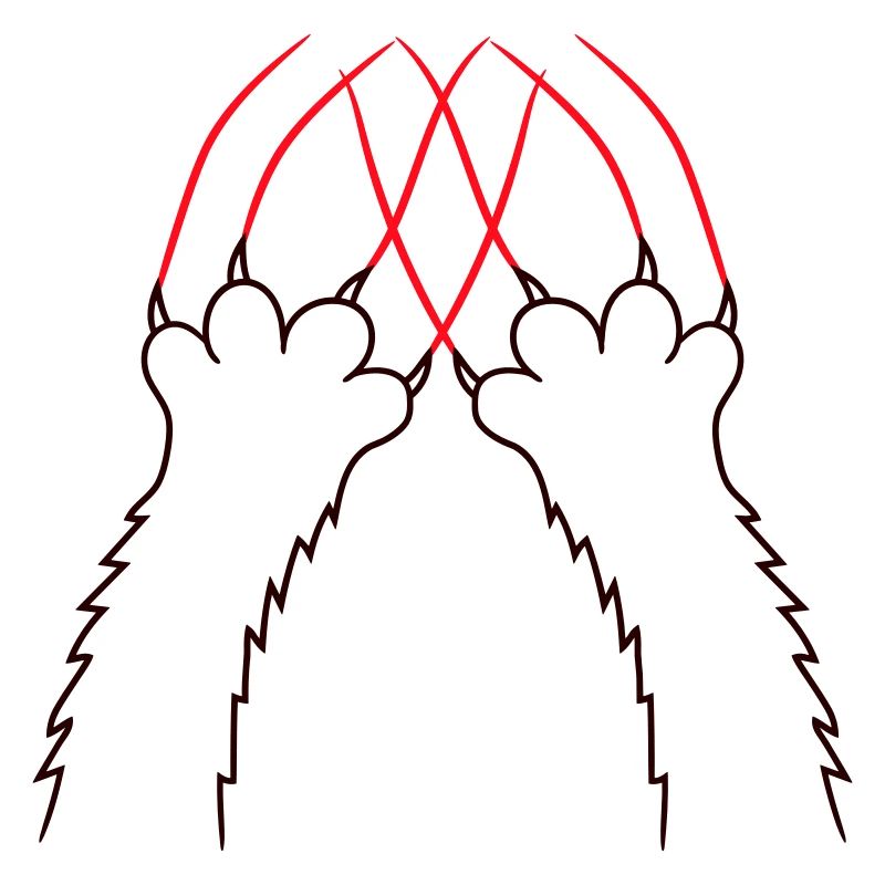 Chats, Griffes, Pattes, Pattes, Griffes, Griffures, Rayures