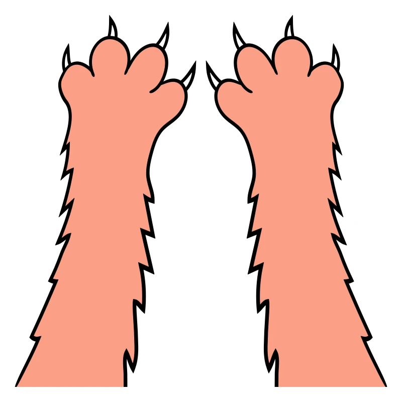 Cats, claws, paws, paws, sharp claws, scratching