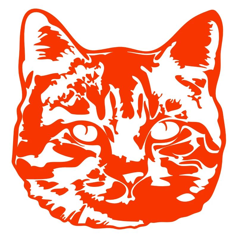 Pretty Cat Realistic Looking Head Face