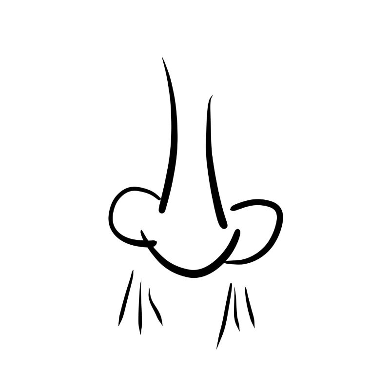 odeur de nez
