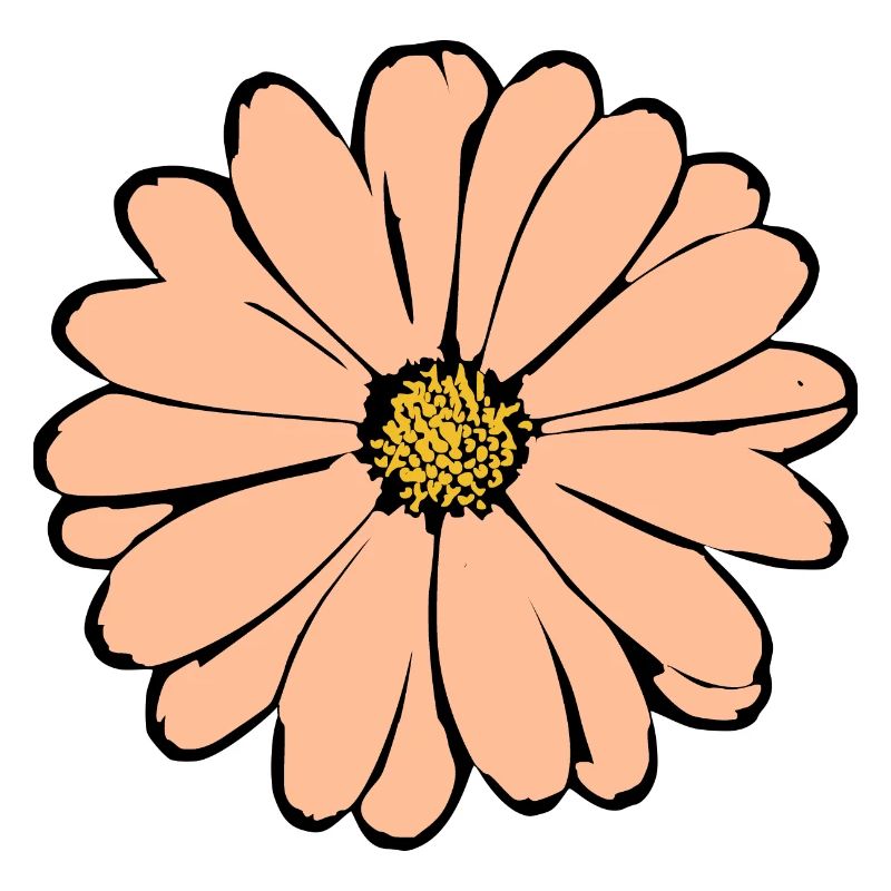 Fleur Pastel Fleurs Fleurs Pastel