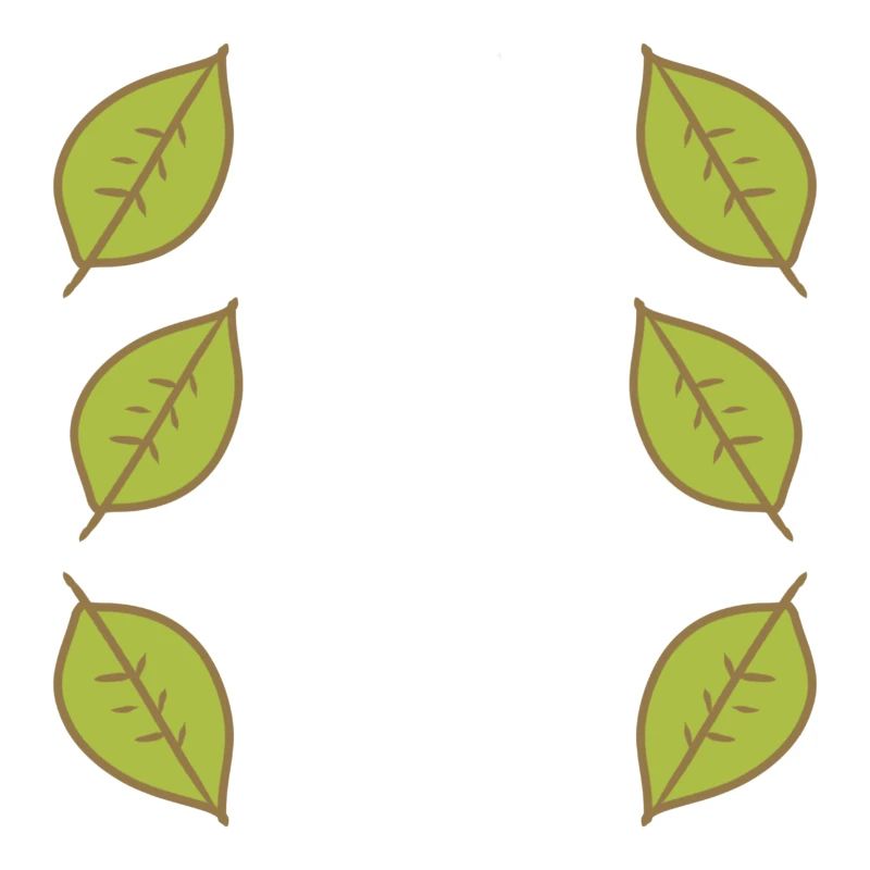 Pattern Leaf Leaves Frame Nature