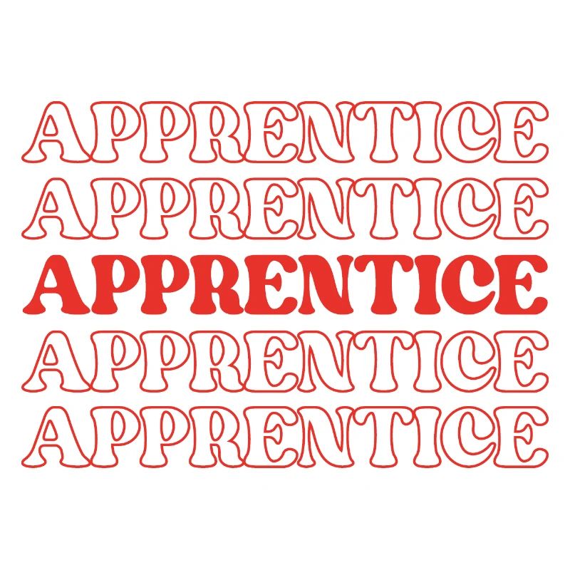 Apprentice Trainee Apprentice Novice Learner