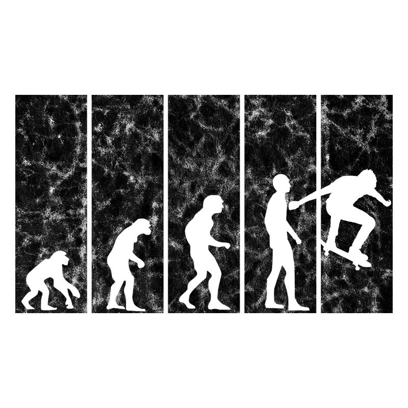 Skateboarder Skateboard Skater Skate Evolution