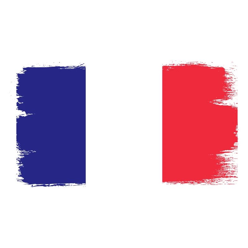 France Drapeau utilisé Look Drapeau français
