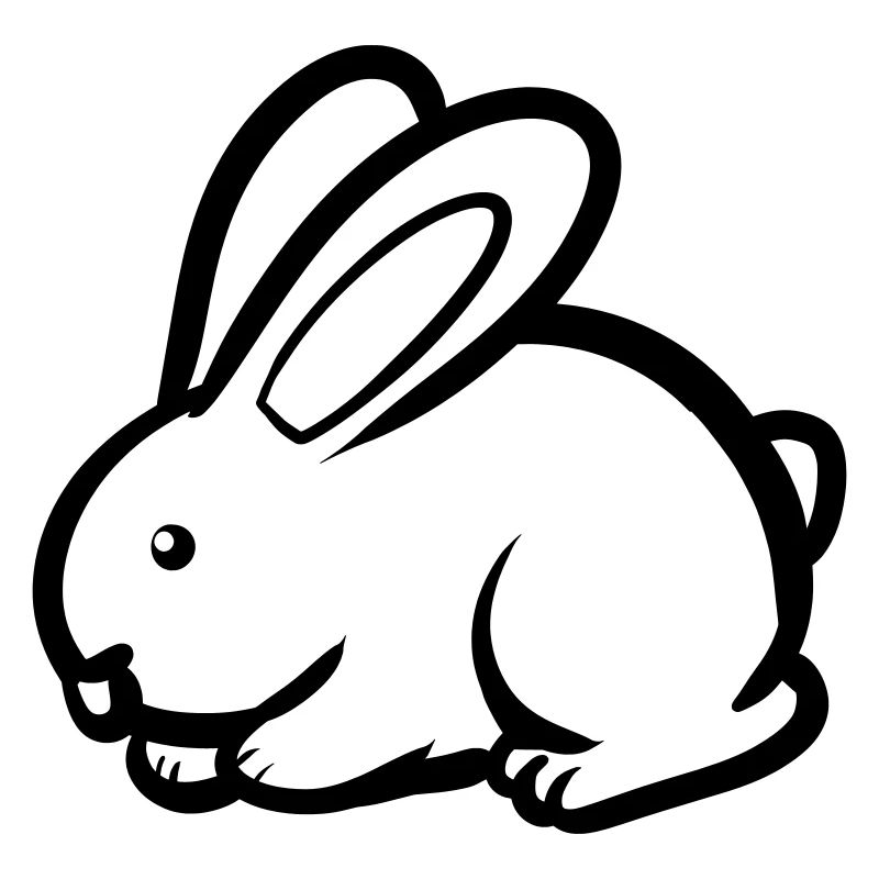 Lapin cool