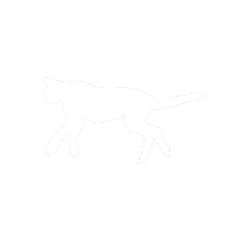 T.K.O. Drunken Predator Blackout Coma Blanc