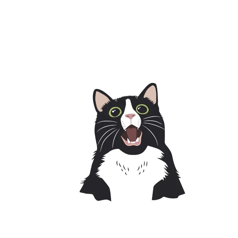 fabuleux chat