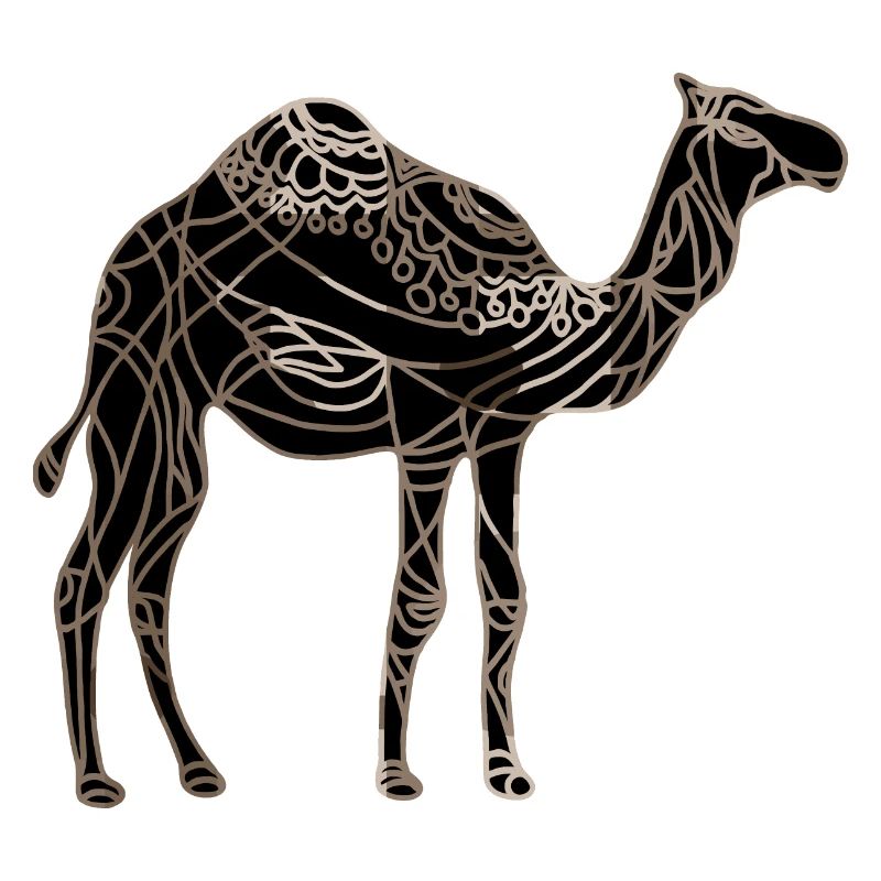 Kamel