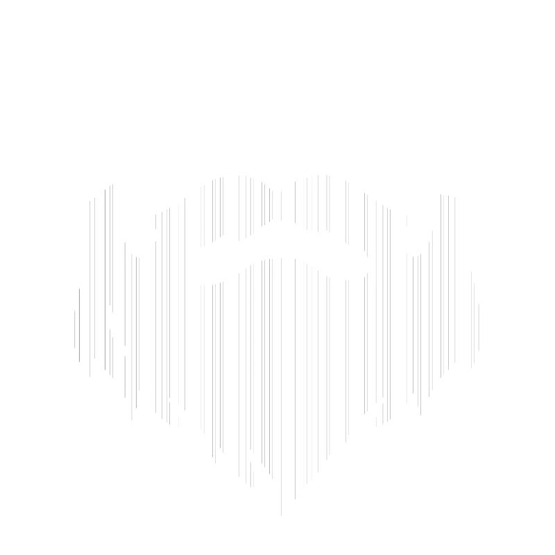 Beard Code Stylist Gift