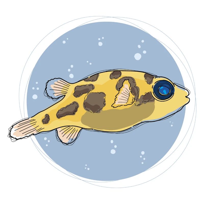 Pea Puffer ,puffer, kugelfisch