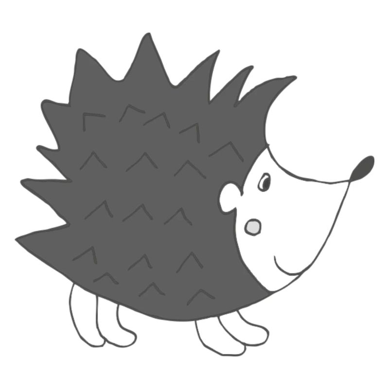 Hérisson Noir Blanc