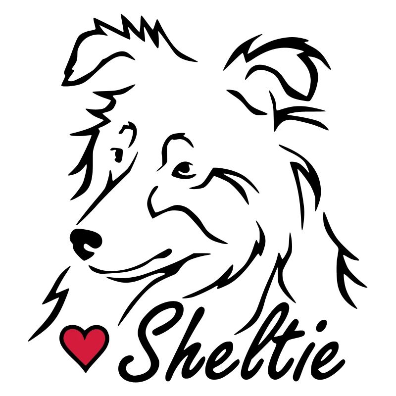 Sheltie ❤