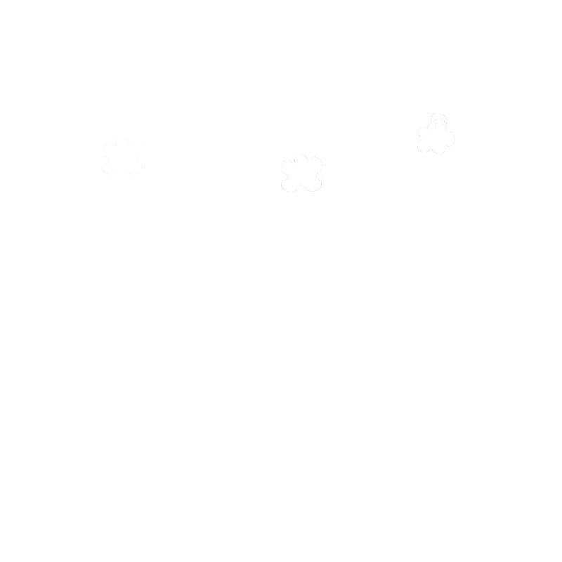 Flugzeug
