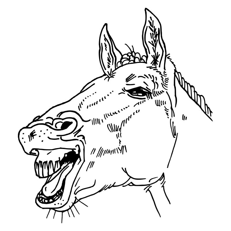 Lachendes Pferd