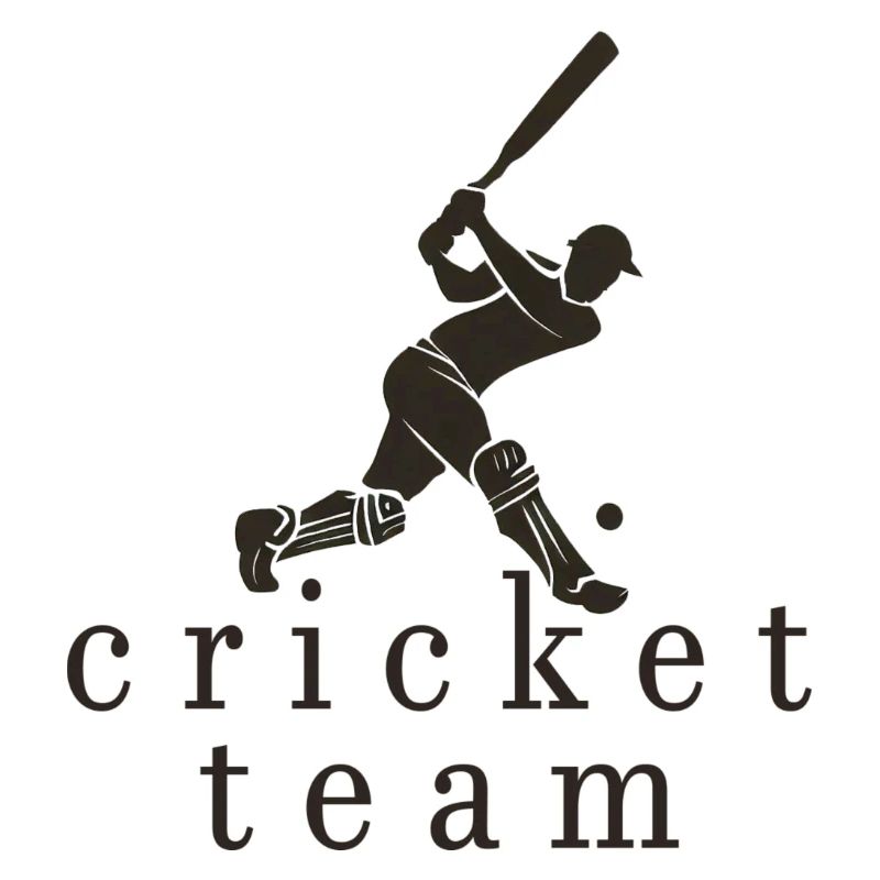 Équipe de cricket