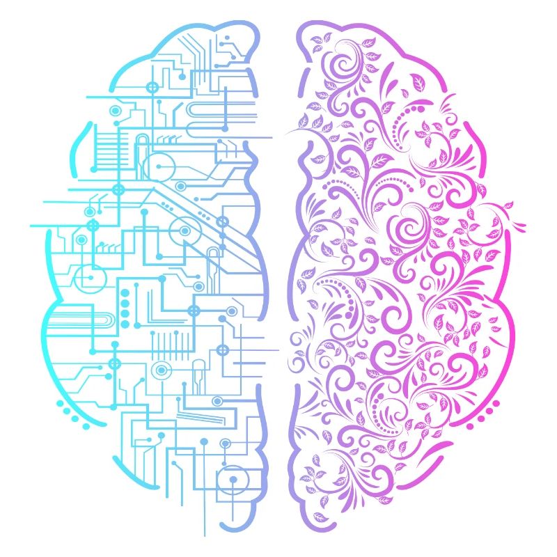 Left Brain Right Brain