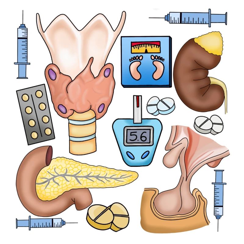 Endocrinology
