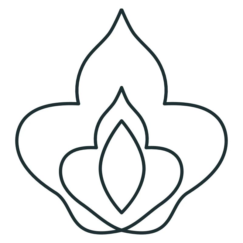 fleur de dame fleur