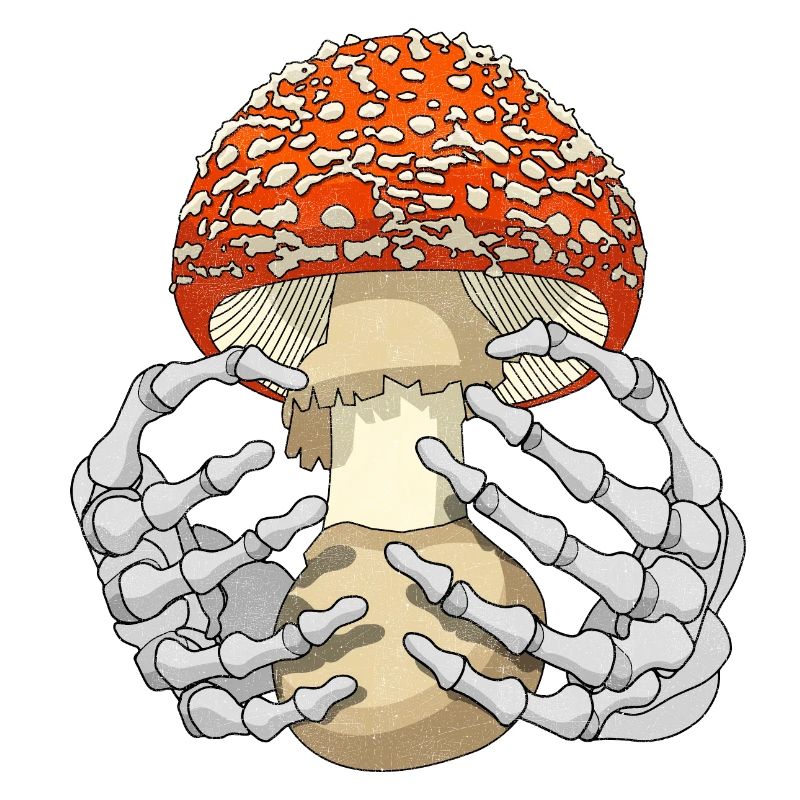Champignon
