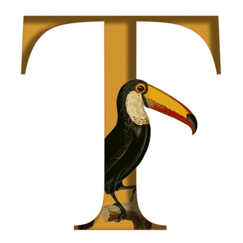 Buchstabe T, Tukan